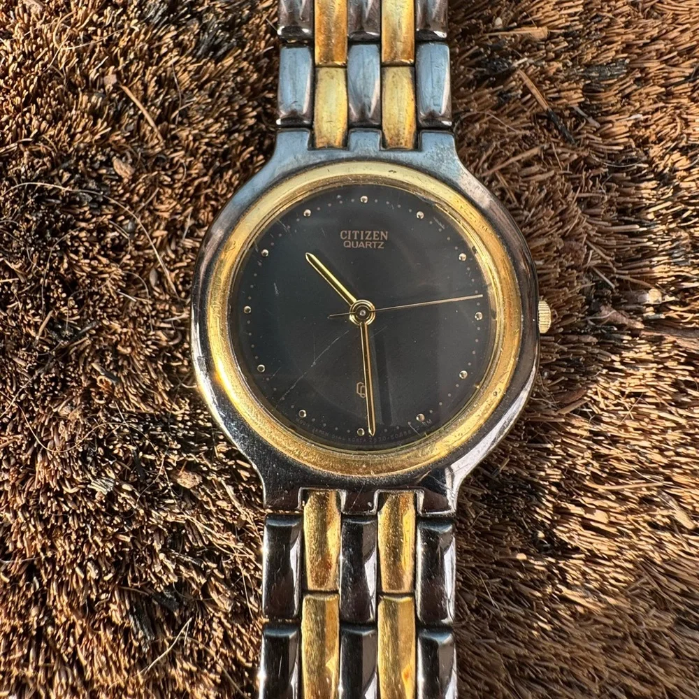 Citizen Two-Tone Metal Watch